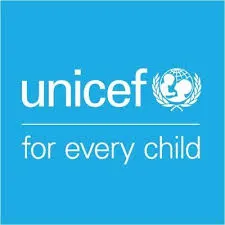 Job Opportunity at UNICEF - Individual National Consultant