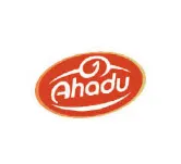 AHADU PLC Jobs in Addis Ababa - Finance Manager AHADU PLC Jobs in Addis Ababa - Finance Manager